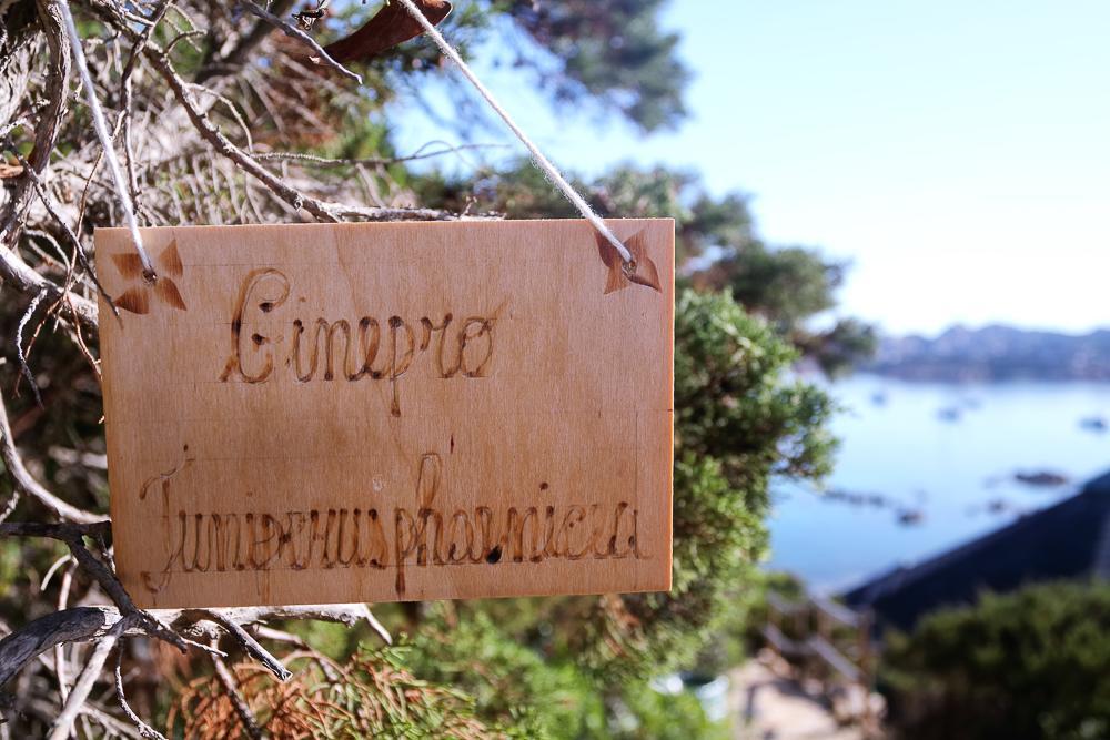 Touring Club Italiano - La Maddalena Hotel La Maddalena  Kültér fotó